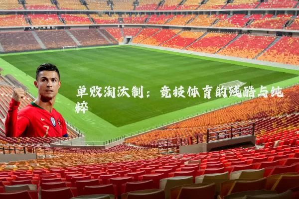 单败淘汰制:竞技体育的残酷与纯粹